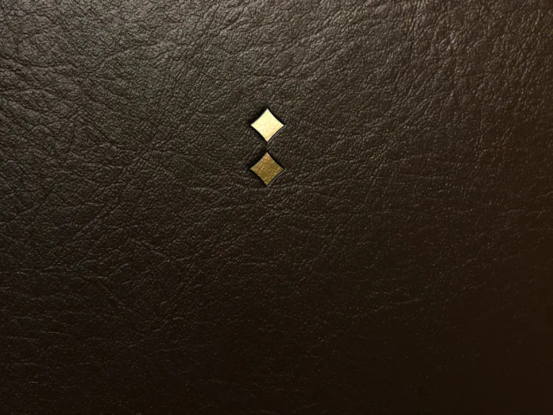 Two gold lozenges set into dark leather